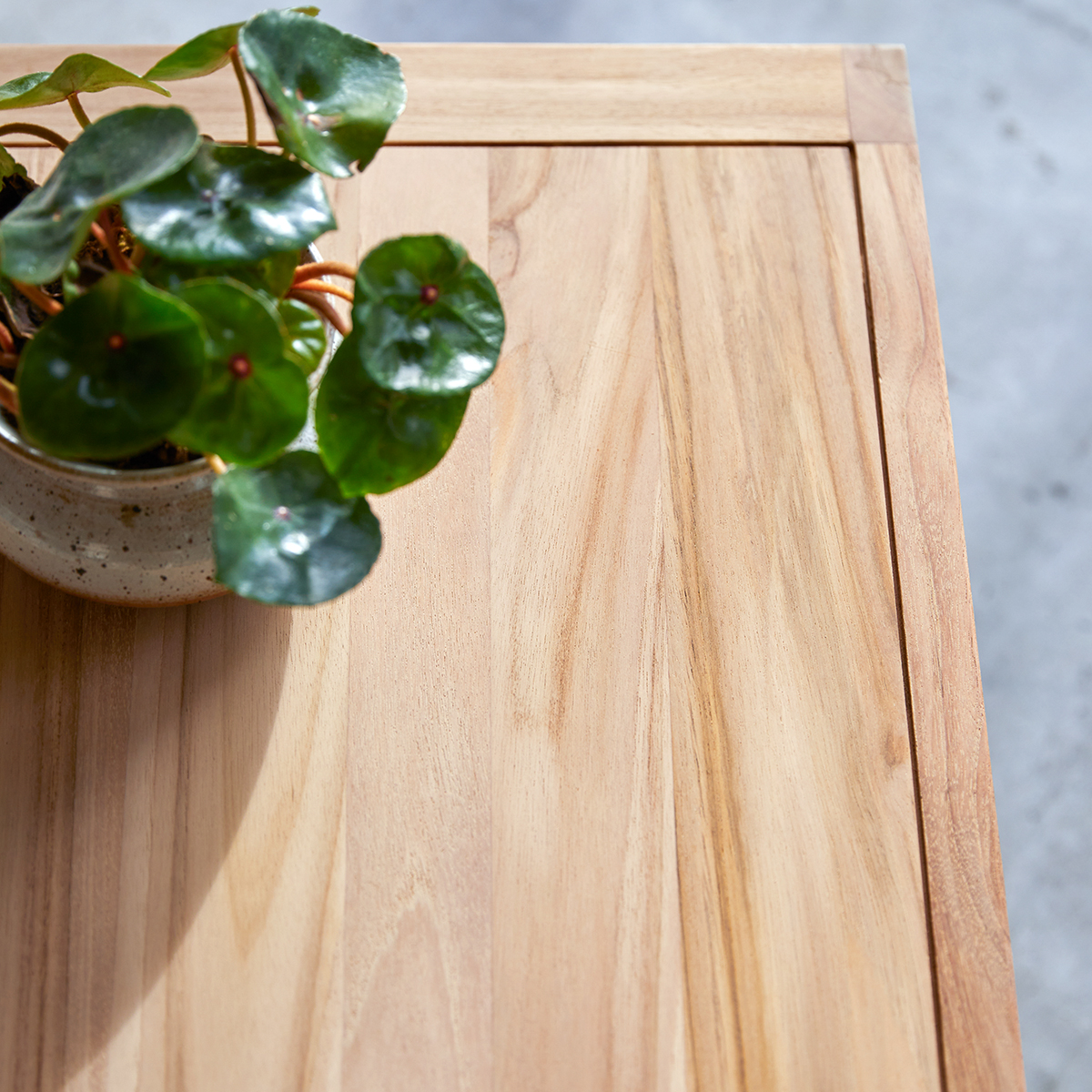 Adam teak Coffee Table Adam teak Coffee Table