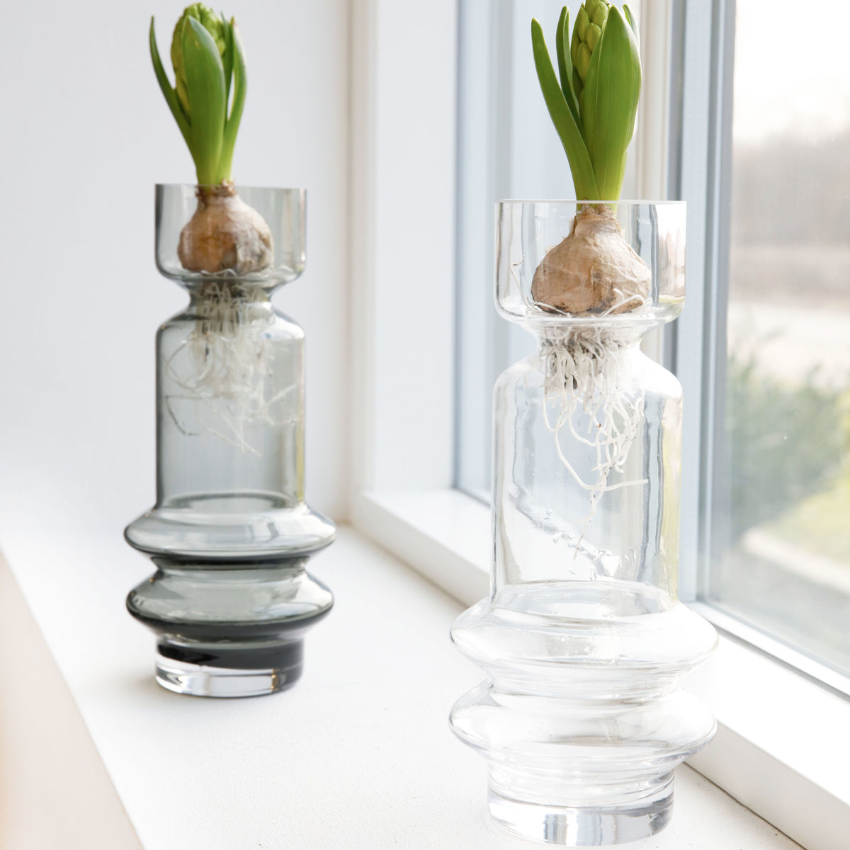 Le Vase Lison 25 Le Vase Lison 25