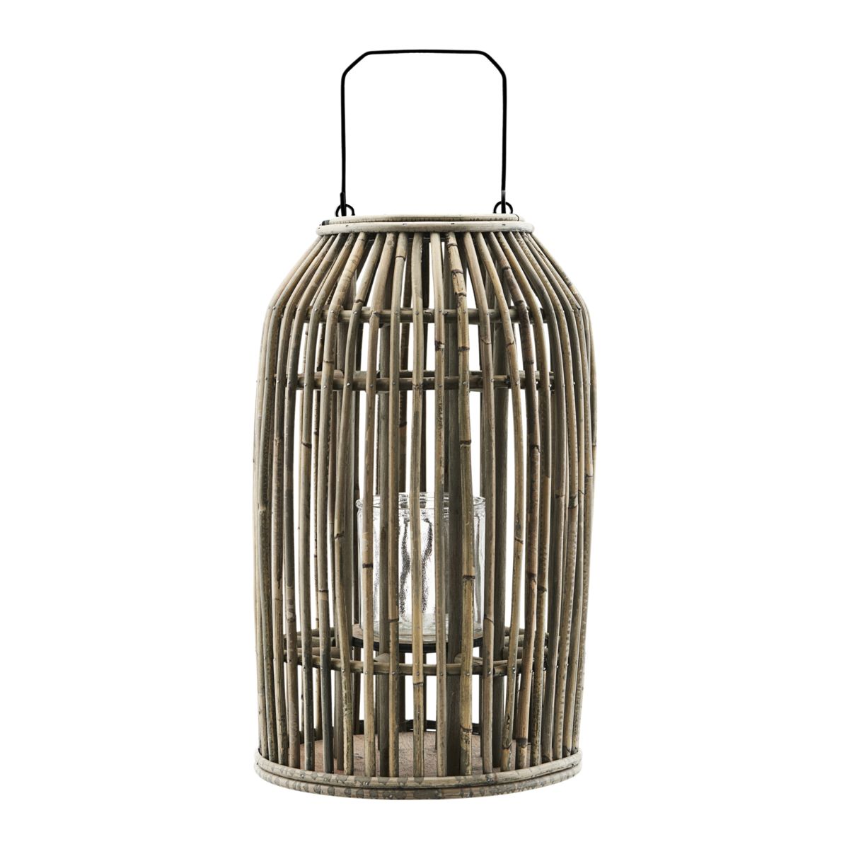 The Ova Lantern 40 The Ova Lantern 40